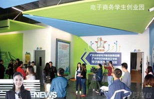 大专电子商务运营专业