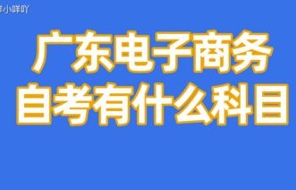 电子商务能考研哪些专业