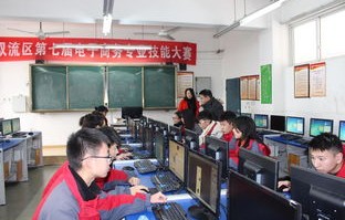 崇明区专业电子商务业务