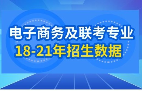 电子商务及法律专业实习