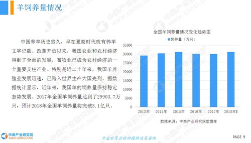 电子商务专业发展现状