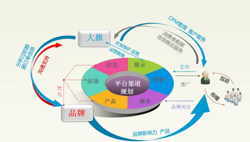 电子商务专业图表