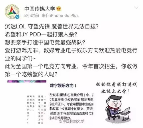 中传电子商务专业