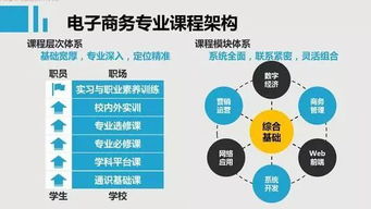 电子商务系统专业介绍