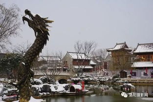 洛阳城内雪景醉人