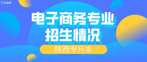 北京电子商务专业专升本