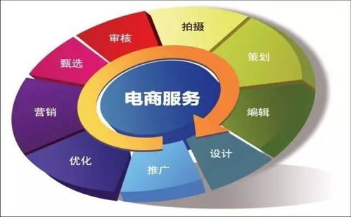 电子商务专业院校选择