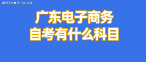 电子商务专业成人自考