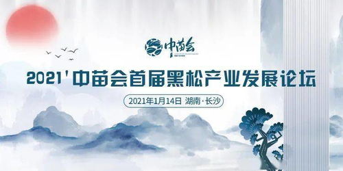 王星踏上新旅程，无限超越班开启精彩篇章