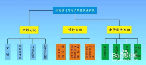 电子商务专业学生的比例