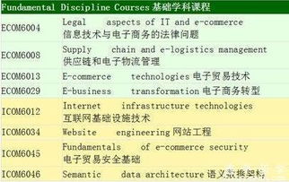 电子商务专业算什么大类